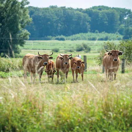 Feldgang Ein Gaestehaus! Upahl