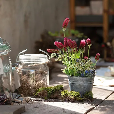 Apartamento Feldgang Ein Gaestehaus! Upahl