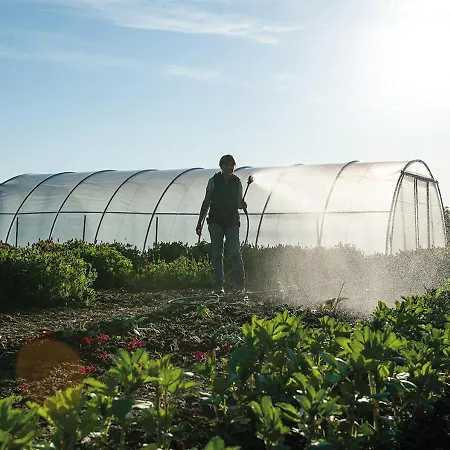 Apartamento Feldgang Ein Gaestehaus! Upahl